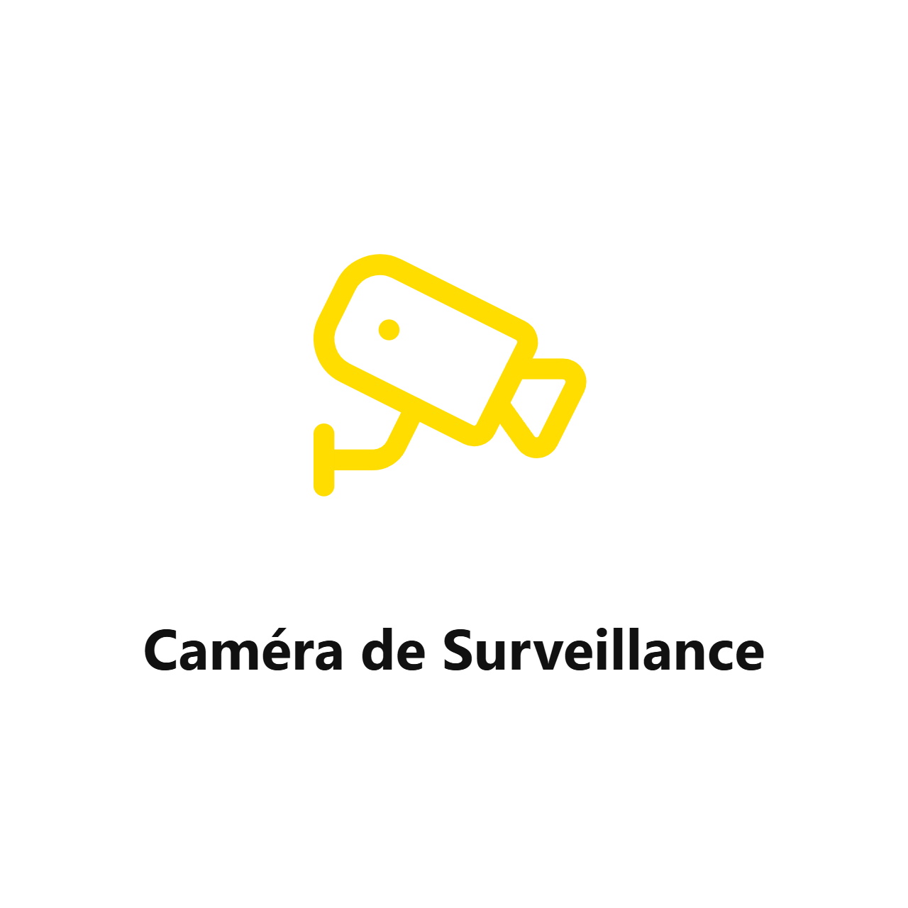 Camera de Surveillance